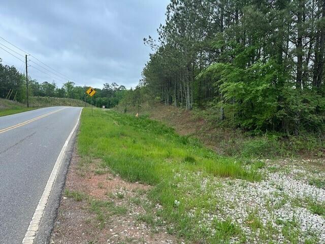 55 Spring Place Road Northeast Cartersville, GA 30121 - Photo 2 of 14 a view of a yard with plants and a large tree