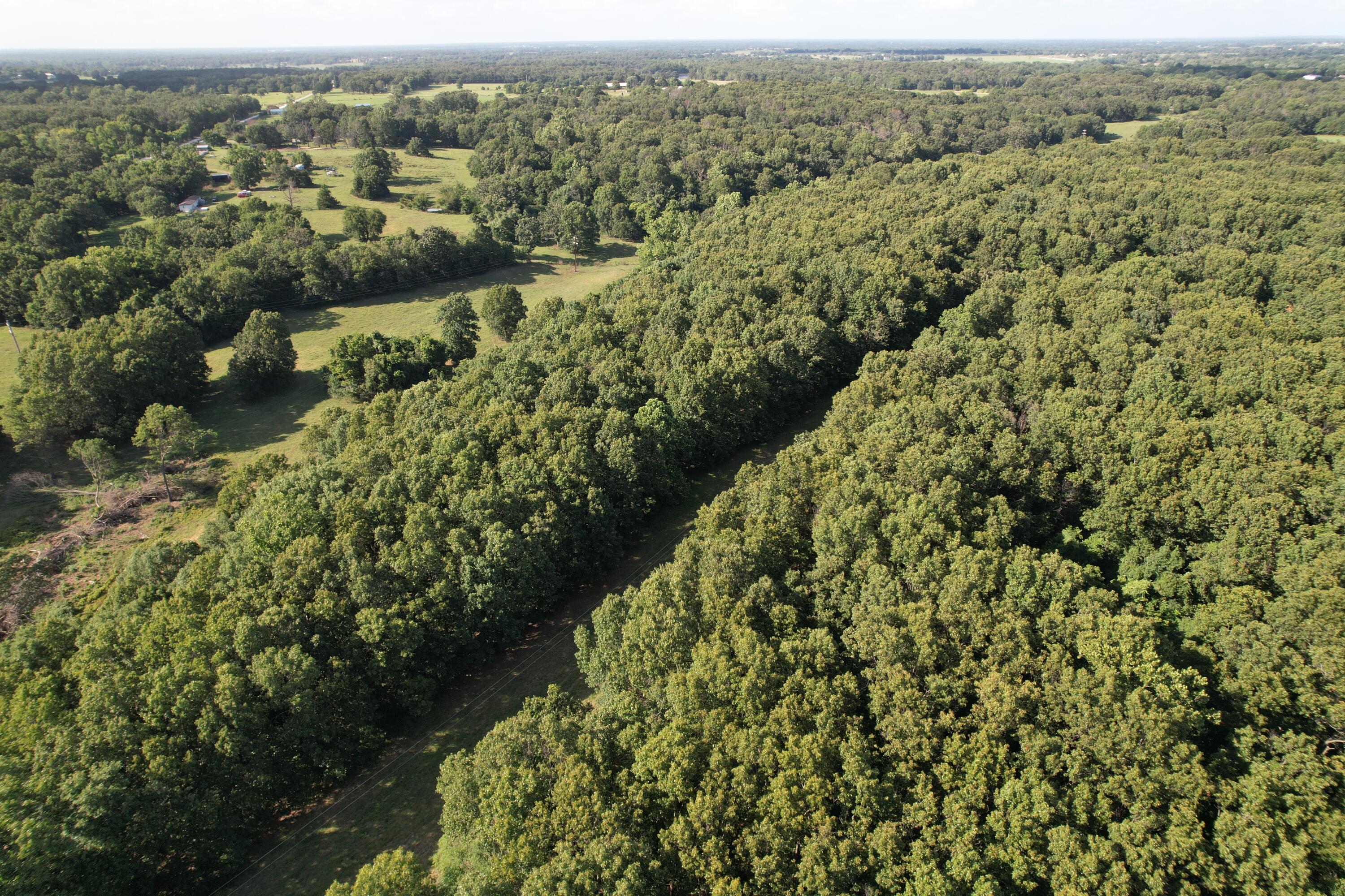 6731 Raccoon Road Pierce City, MO 65723 - Photo 5 of 99 DJI_0296