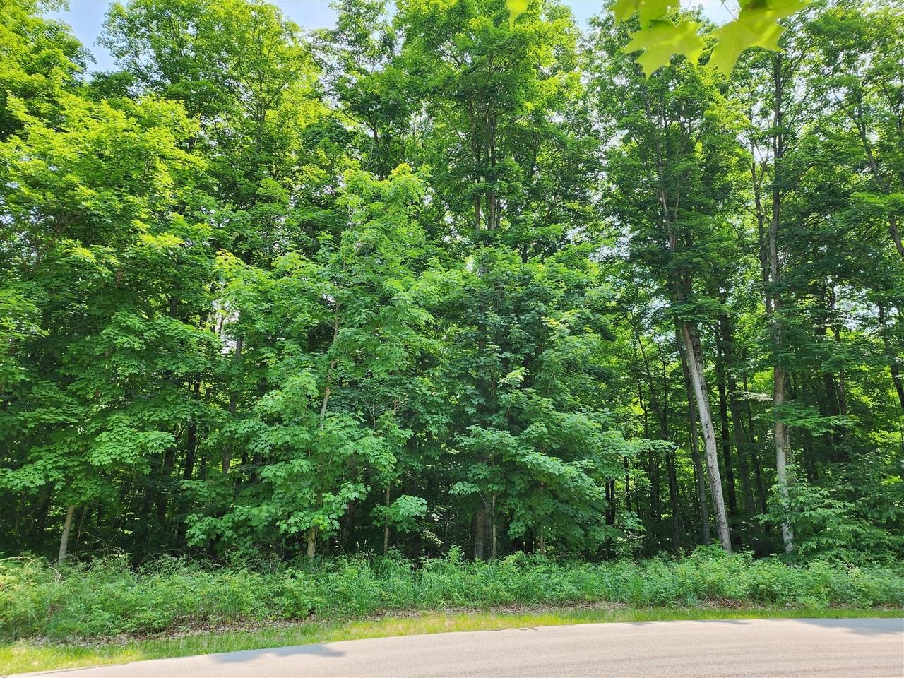 32 Goshawk Ridge Traverse City, MI 49684 - Photo 1 of 20