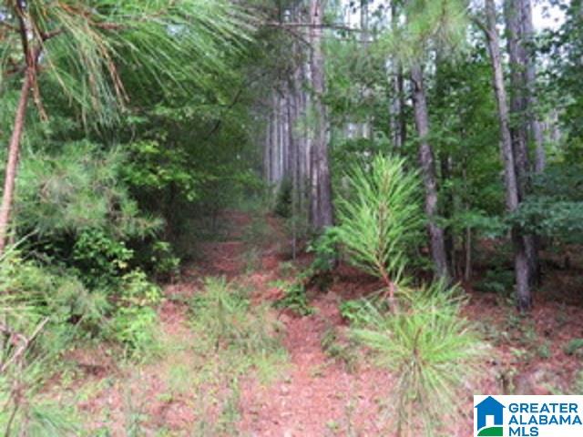 1980 Dripping Rock Road, Unit 20 50 AC Piedmont, AL 36272 - Photo 18 of 19