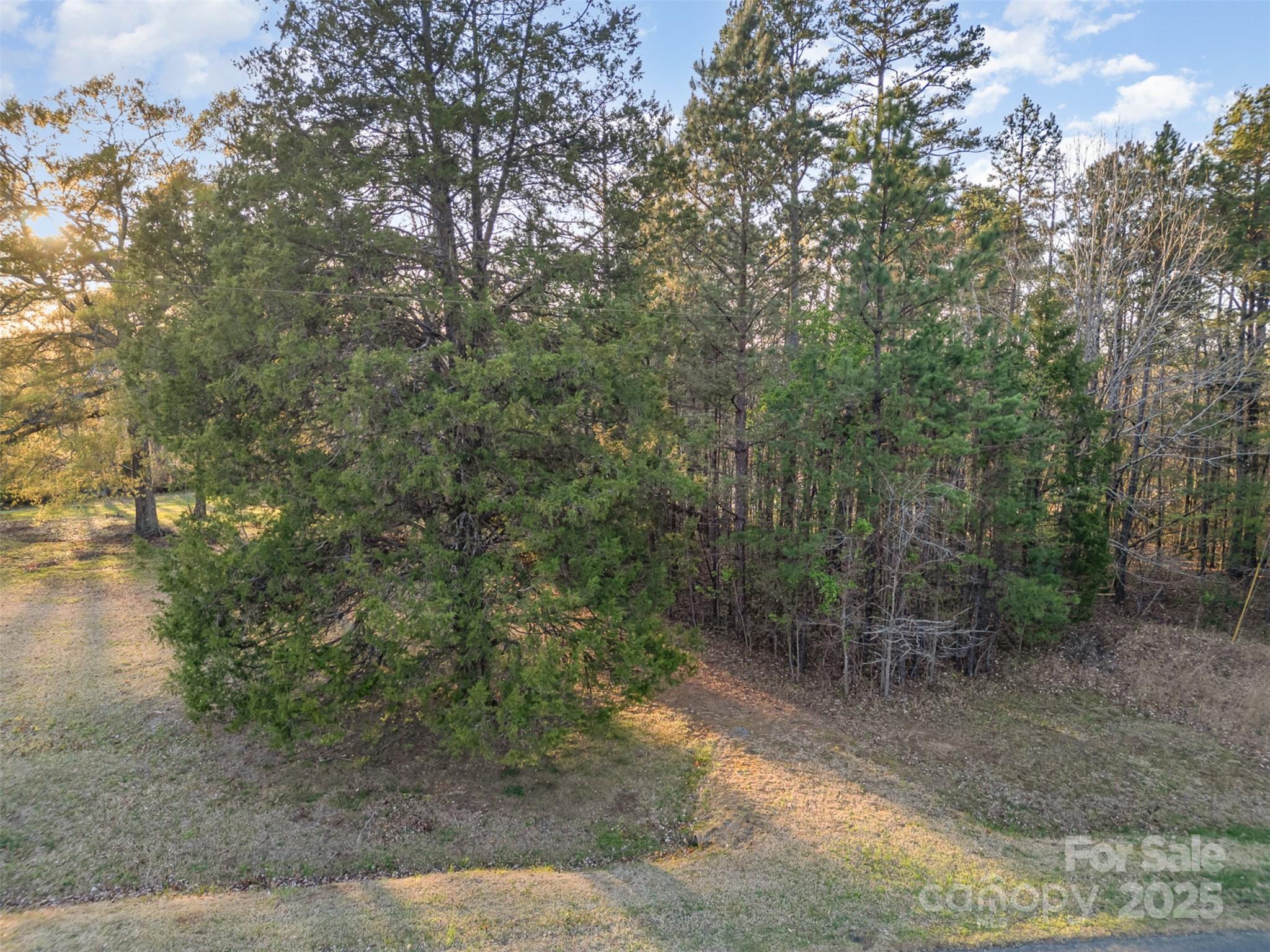 2628 State Highway 49 Concord, NC 28025 - Photo 13 of 15 a view of a forest with trees