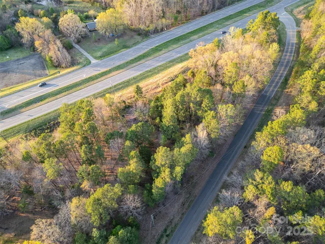 a view of a plant from a window