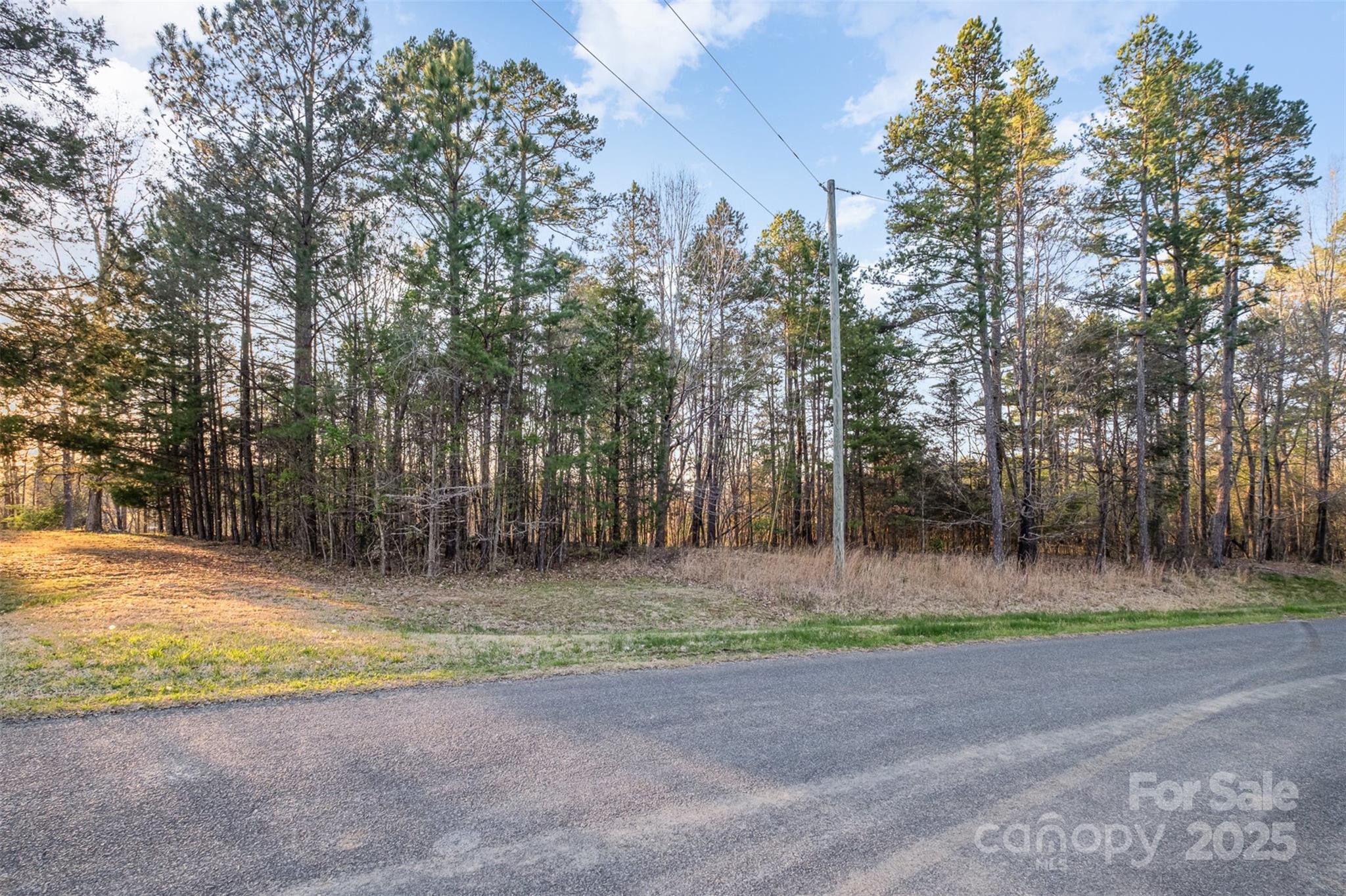 2628 State Highway 49 Concord, NC 28025 - Photo 9 of 15 a backyard of a house with lots of trees