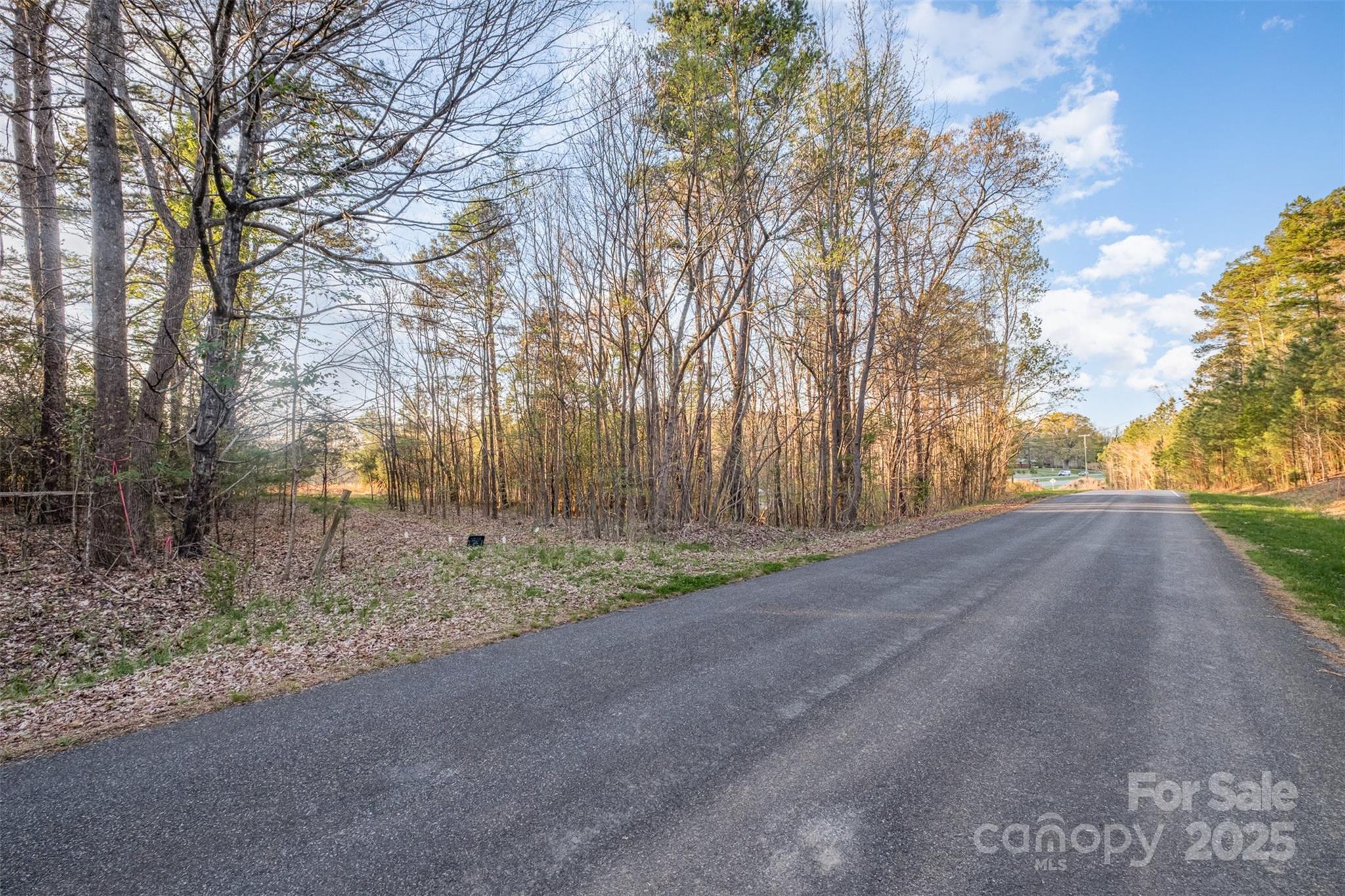 2628 State Highway 49 Concord, NC 28025 - Photo 10 of 15 a view of a yard with plants and trees