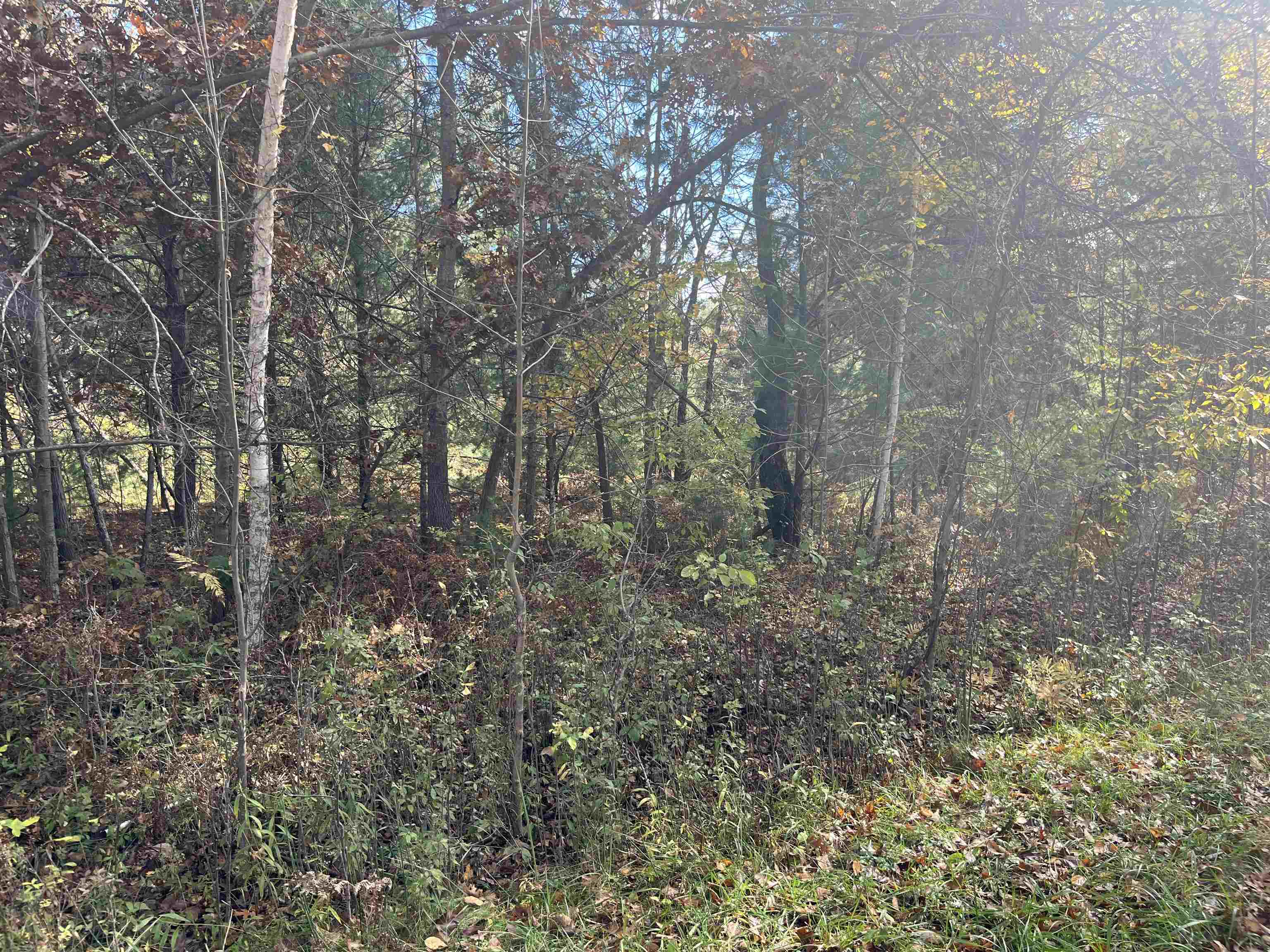 Nka Husak Road Omer, MI 48749 - Photo 3 of 5