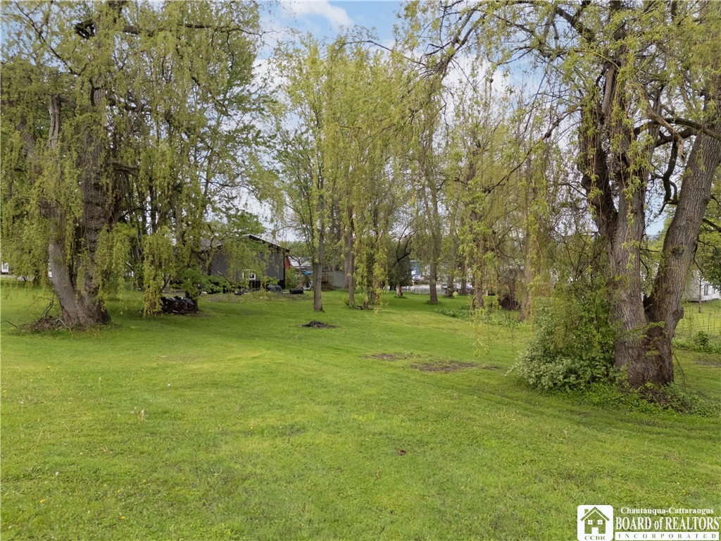 22 High Street Cassadaga, NY 14718 - Photo 33 of 34