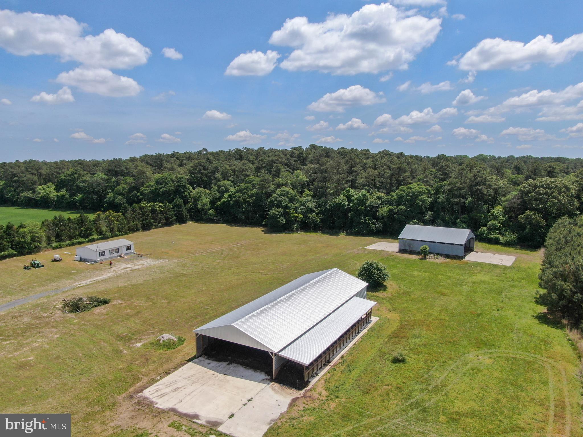 33950 Evans Road Laurel, DE 19956 - Photo 4 of 15 Gallery Image 4