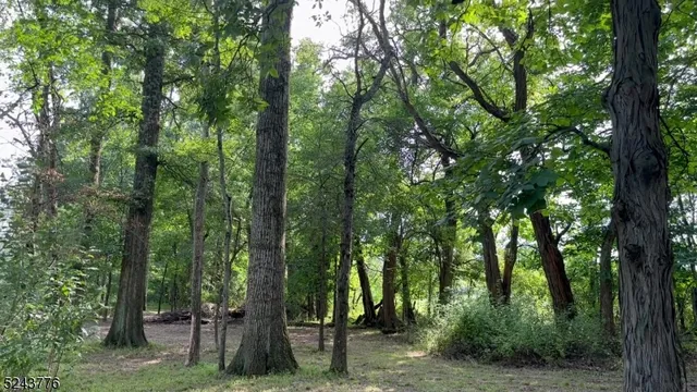 a view of outdoor space and trees