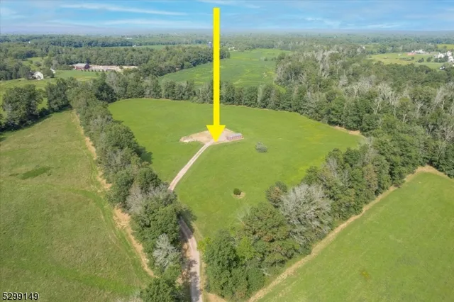 a view of a yard with a swimming pool