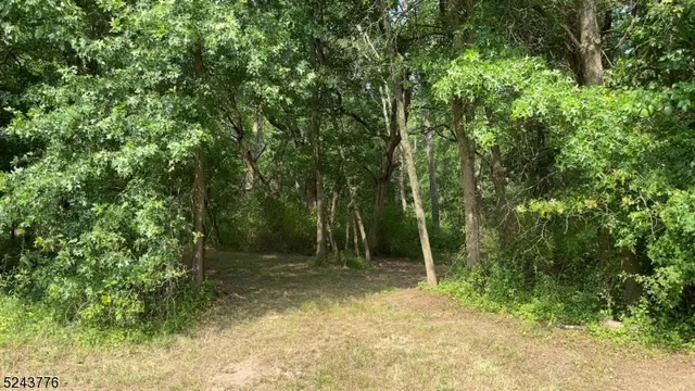 a view of backyard with green space