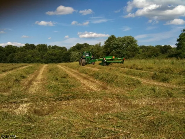 a view of an ocean and beach