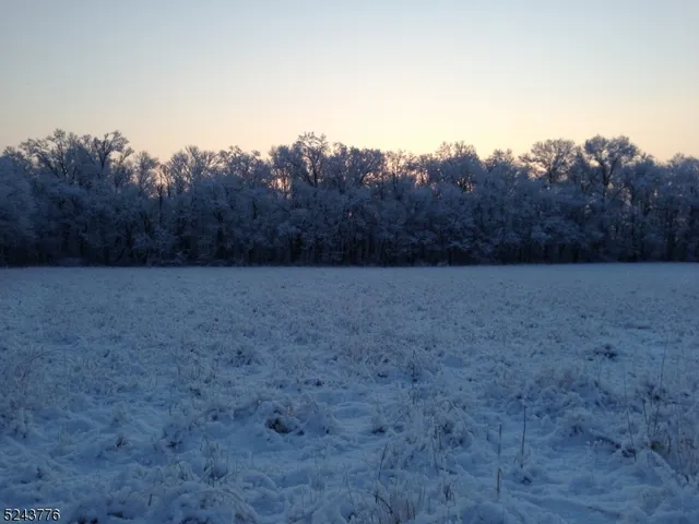 a view of basketball court
