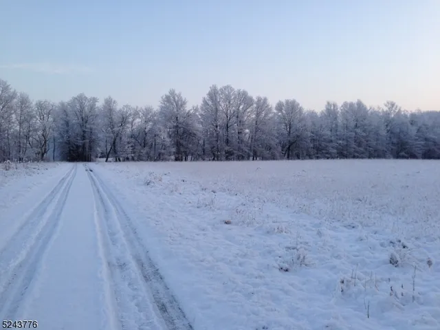 a view of a backyard of the house