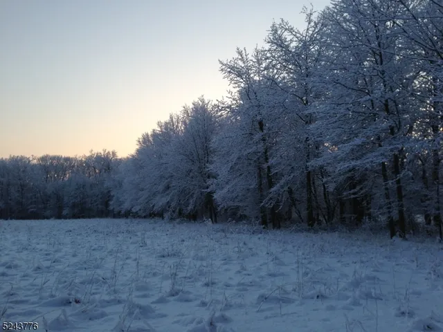 a view of a dry yard