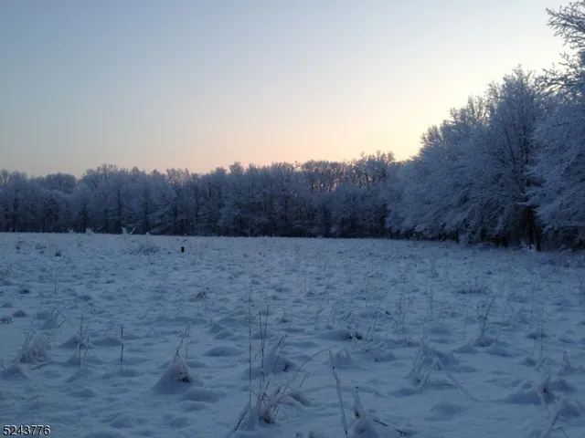 a view of a dry yard