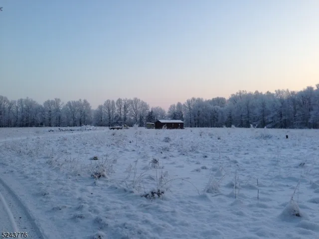 a view of a dry yard