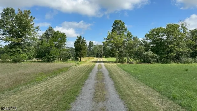 a view of park with trees
