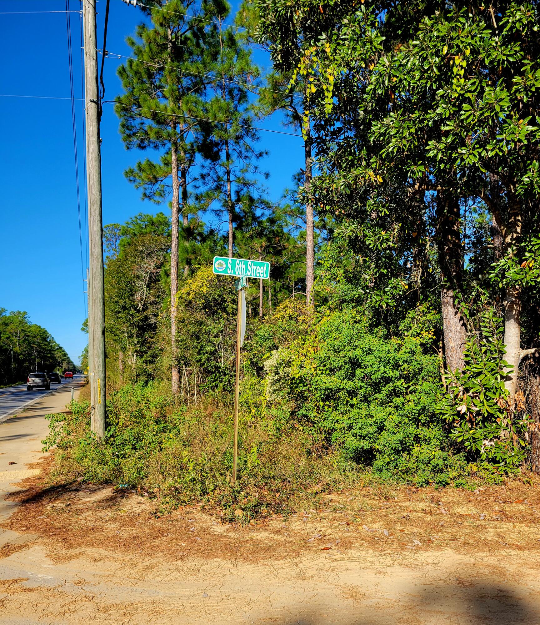 a view of a yard with plants