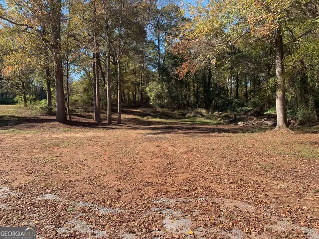 a view of a backyard with green space