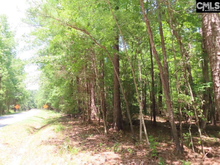 0 Park Road Ridgeway, SC 29130 - Photo 32 of 47