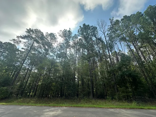 $192,900 | Lot 1 Dogwood Lane, Plum Branch, SC 29845