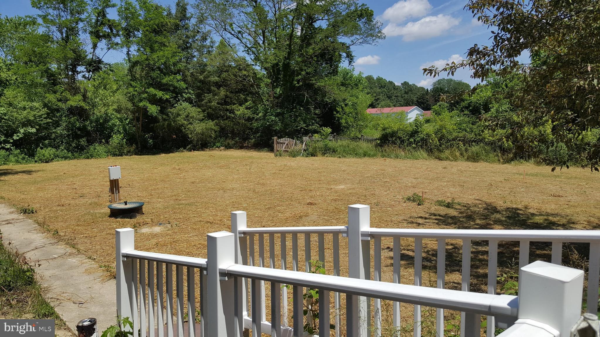 104 Pigpen Point Road Queenstown, MD 21658 - Photo 40 of 41 Open back yard