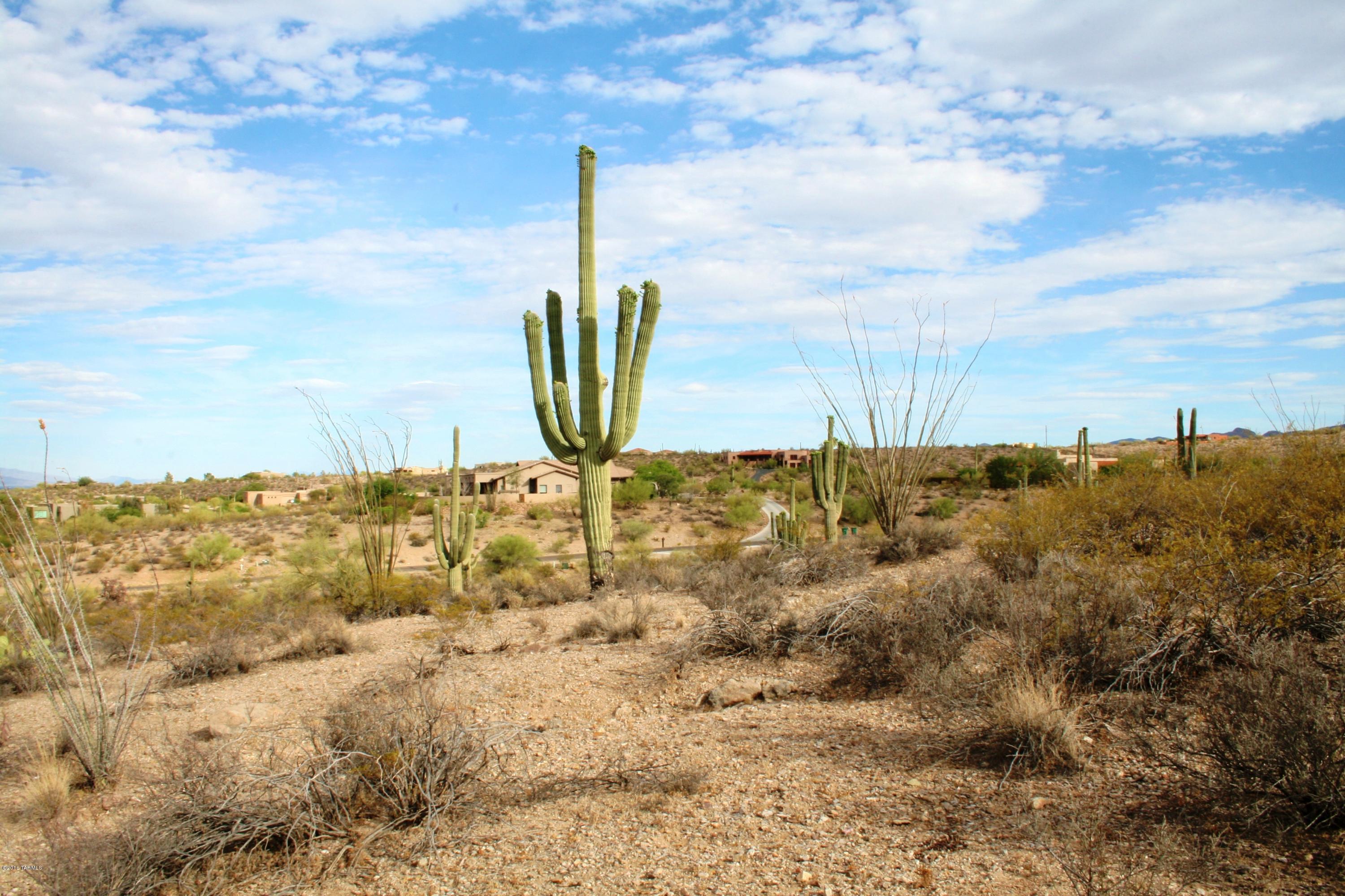 6075 North Abington Road, Unit LOT 4 Tucson, AZ 85743 - Photo 7 of 31