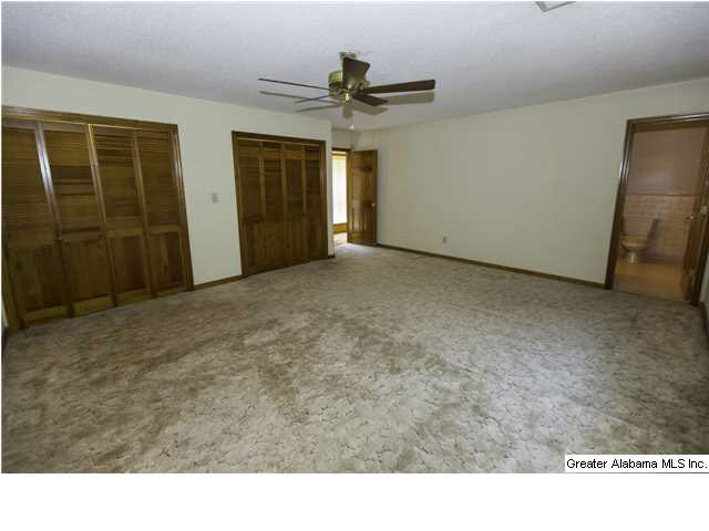 3706 Mt Olive Road Mount Olive, AL 35117 - Photo 14 of 20