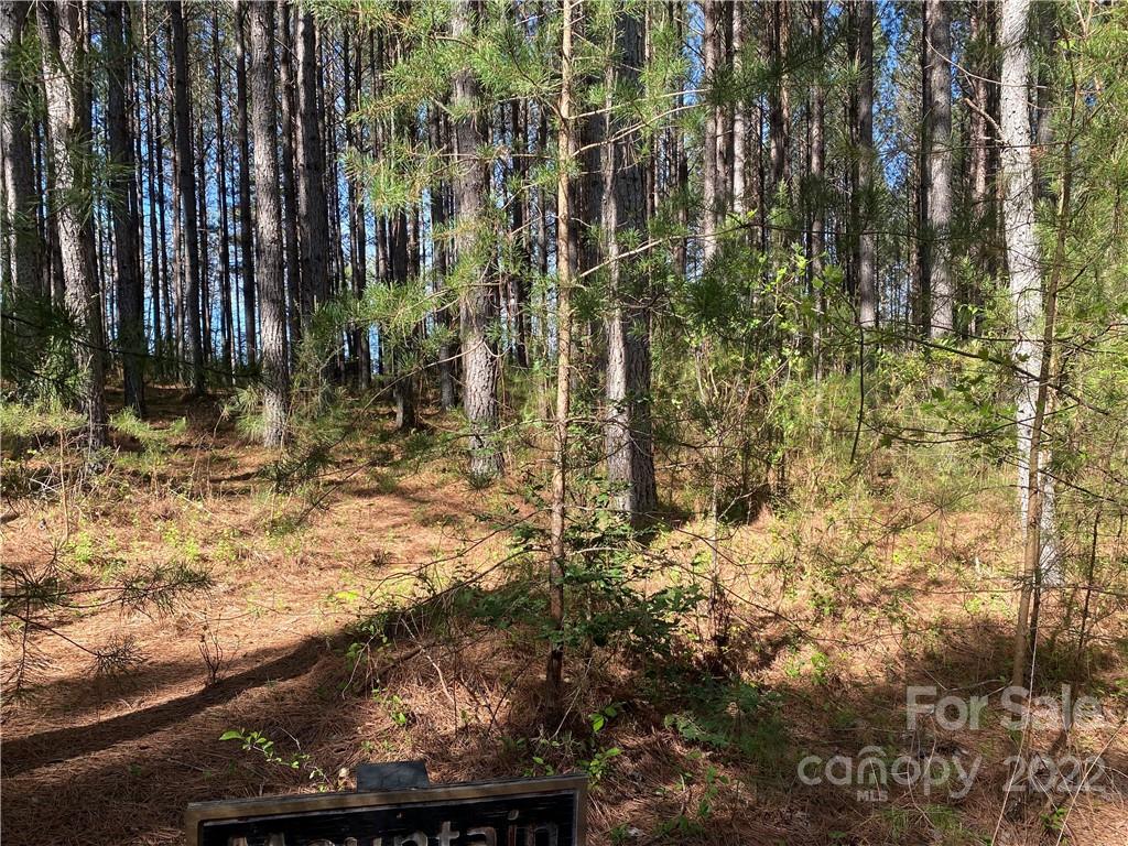 6 Stable Place Rutherfordton, NC 28139 - Photo 3 of 12