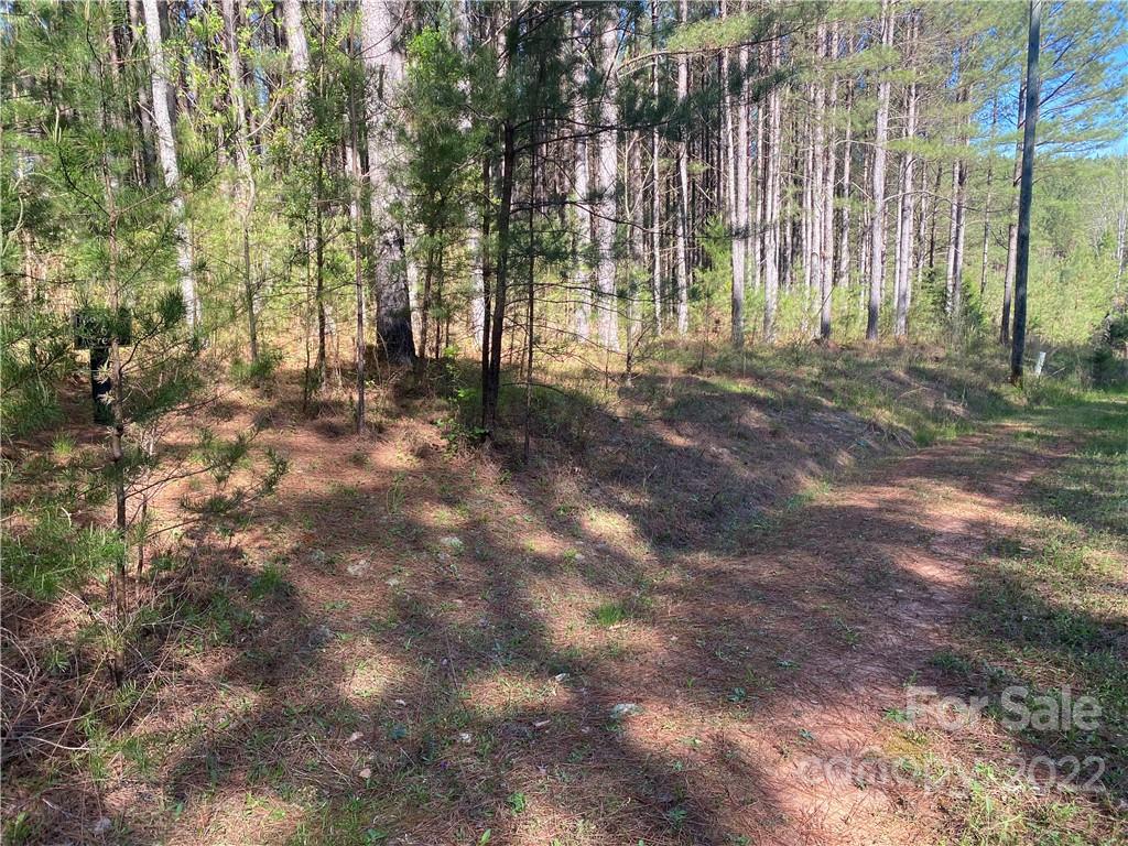 6 Stable Place Rutherfordton, NC 28139 - Photo 6 of 12 a view of outdoor space with trees