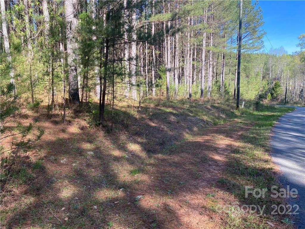 6 Stable Place Rutherfordton, NC 28139 - Photo 7 of 12 a view of backyard with green space