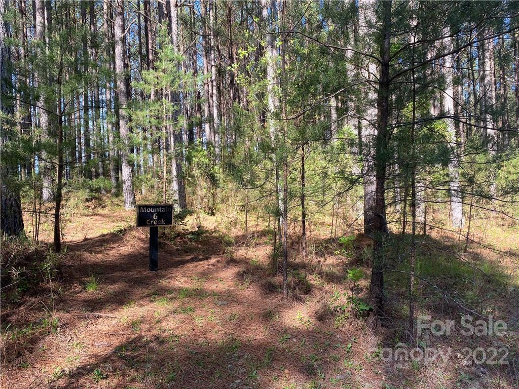 6 Stable Place Rutherfordton, NC 28139 - Photo 8 of 12 a view of empty trees with yard