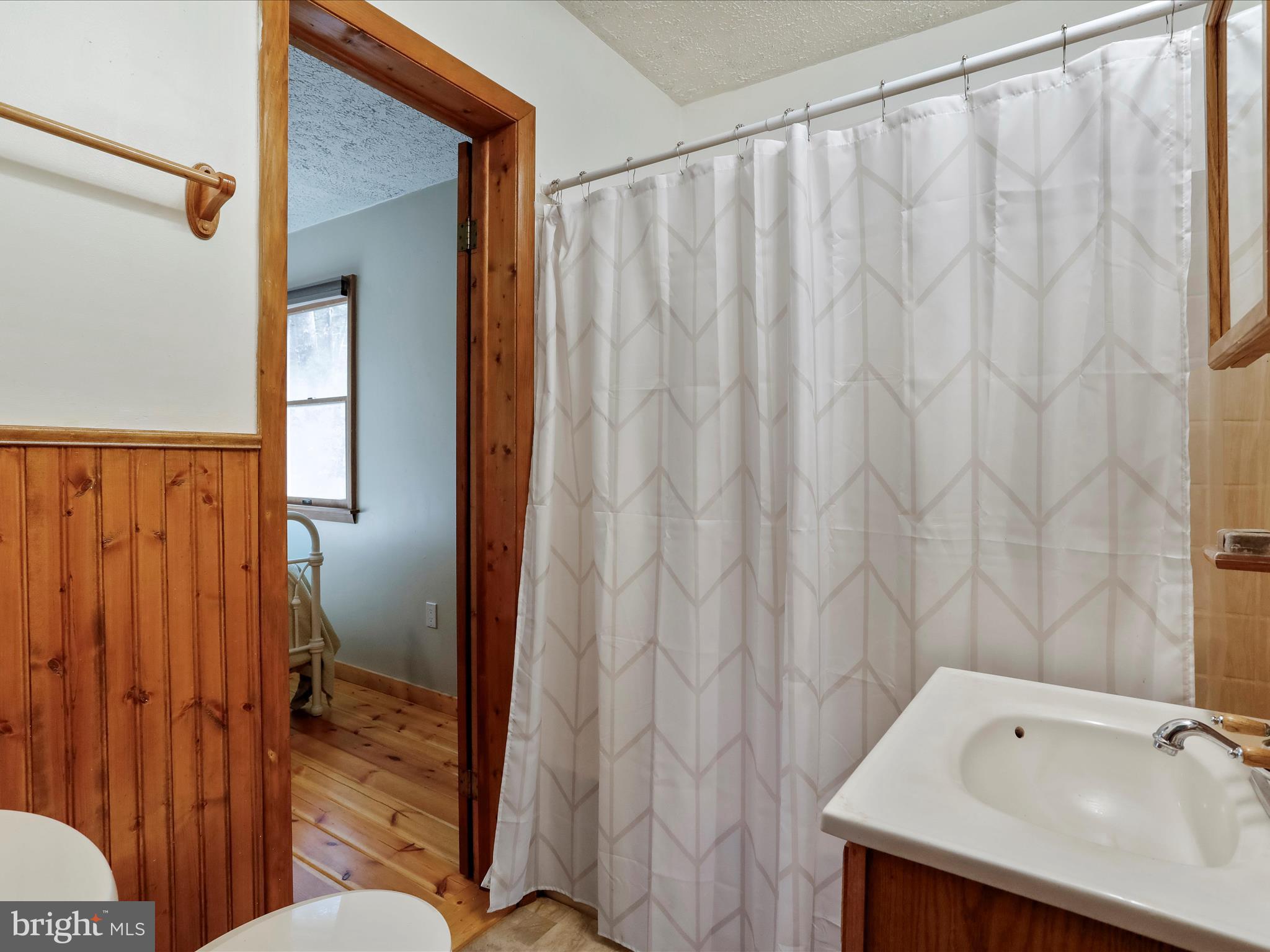 233 High Cliff Road Capon Bridge, WV 26711 - Photo 30 of 42 Main Level Dual Entry Bath
