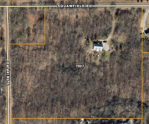 7007 Squawfield Road Pittsford, MI 49271 - Photo 2 of 46 7007