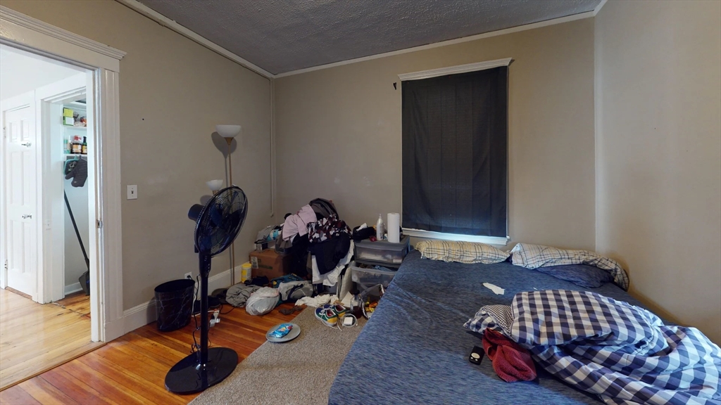 12 Estrella Street, Unit 3 Boston, MA 02130 - Photo 4 of 8