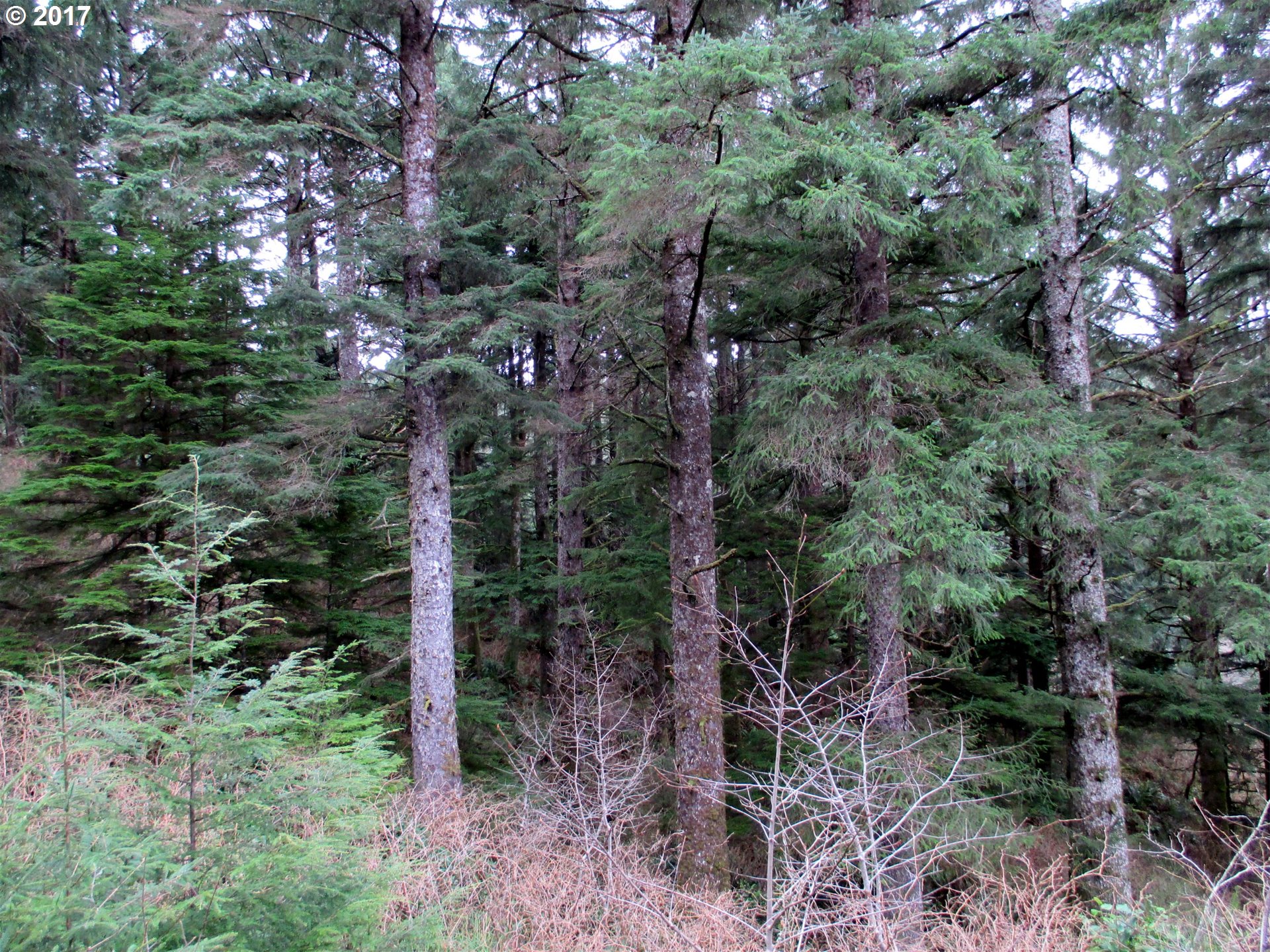 59534 Seven Devils Road Bandon, OR 97411 - Photo 27 of 32 Gallery Image 27