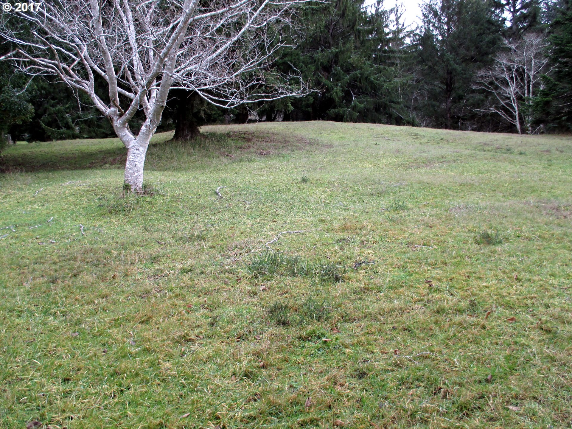 59534 Seven Devils Road Bandon, OR 97411 - Photo 29 of 32 Gallery Image 29