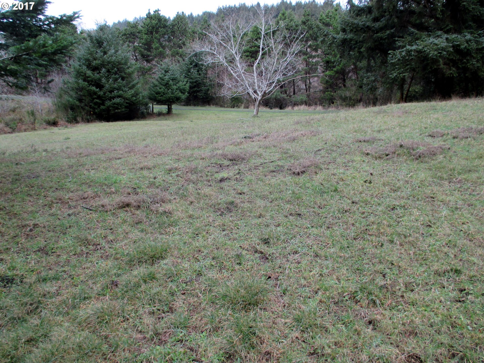 59534 Seven Devils Road Bandon, OR 97411 - Photo 30 of 32 Gallery Image 30
