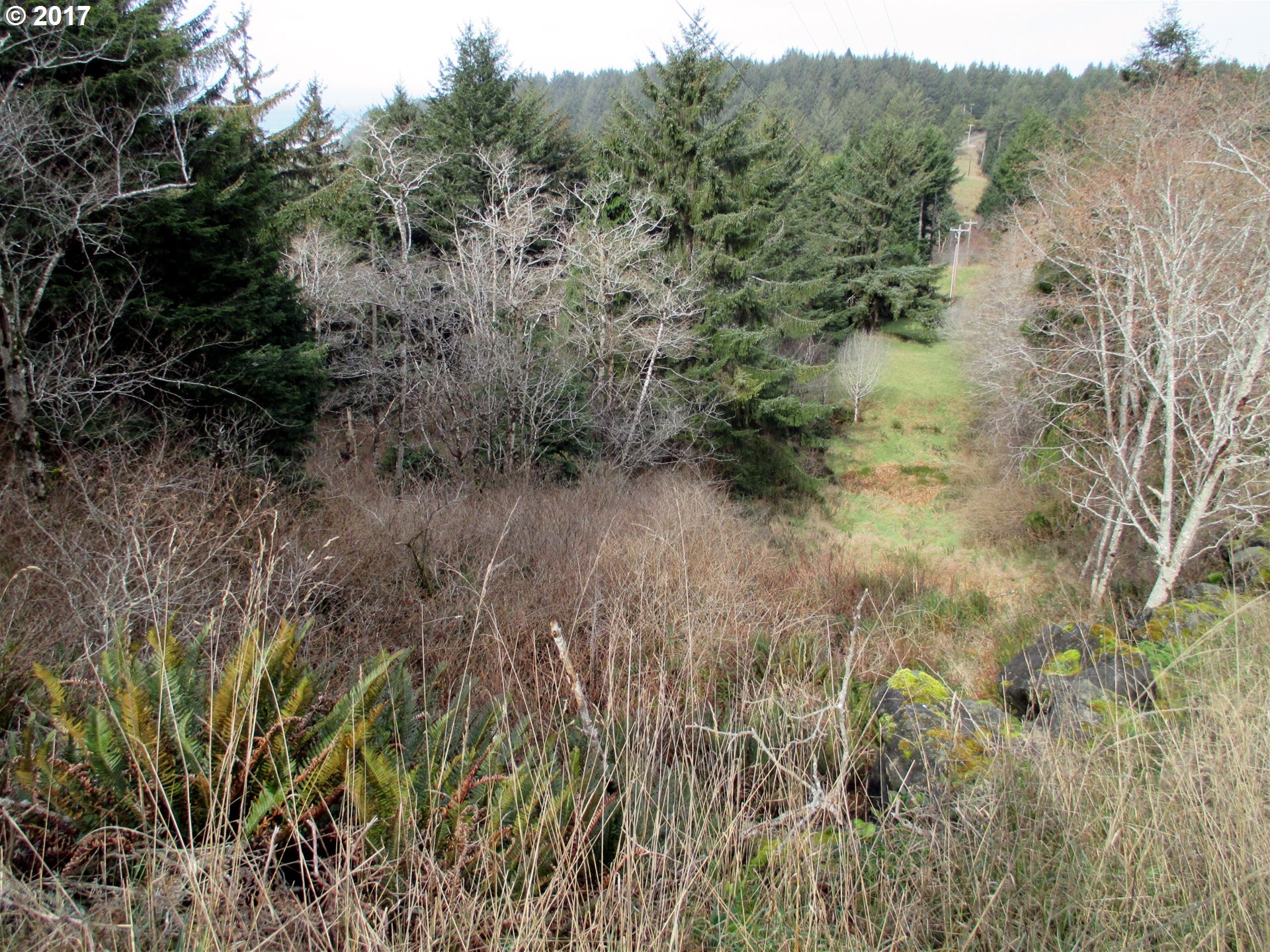 59534 Seven Devils Road Bandon, OR 97411 - Photo 31 of 32 Gallery Image 31