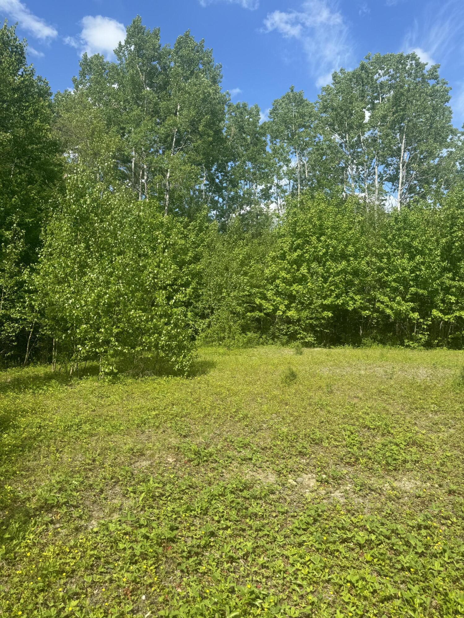 7 Barker Ridge Lane Eddington, ME 04428 - Photo 7 of 11 IMG_3922