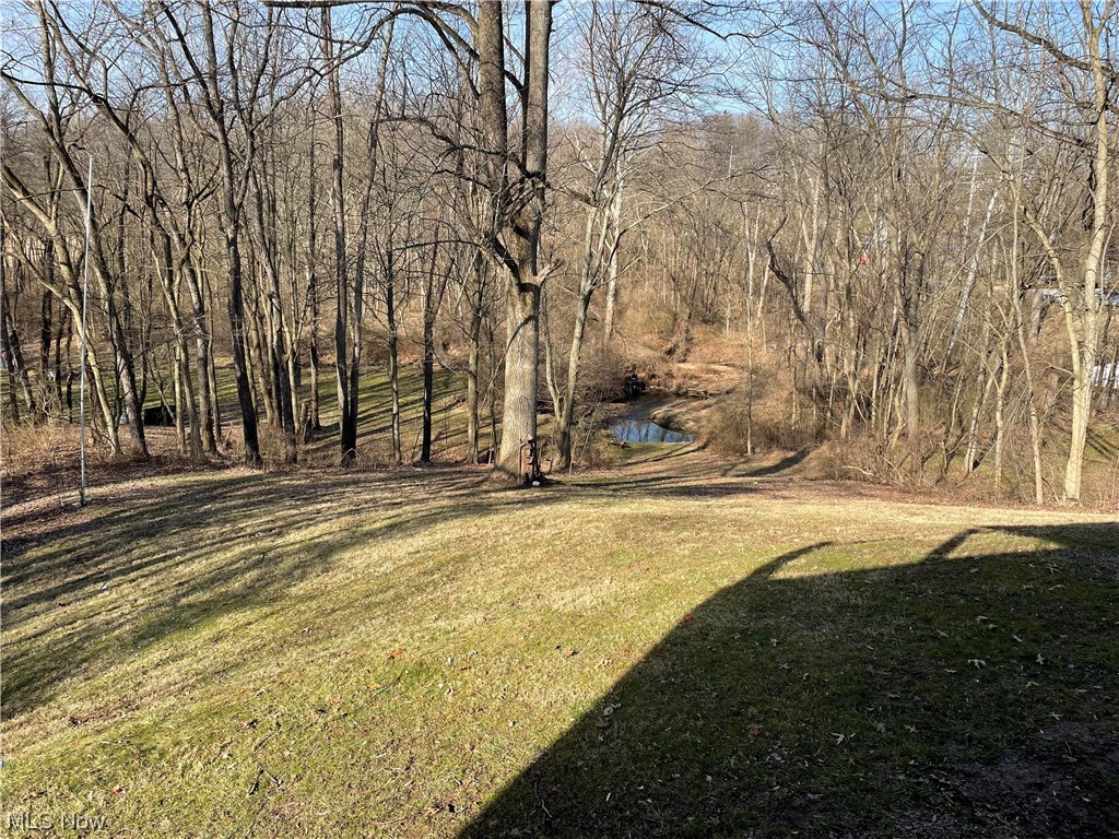 120 Trease Road Wadsworth, OH 44281 - Photo 7 of 35 Back yard view from elevated deck