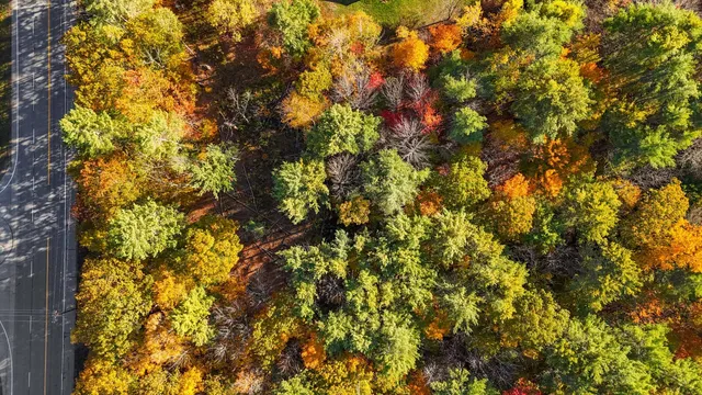 $97,900 | Tbd Abby Lane, New Gloucester, ME 04260