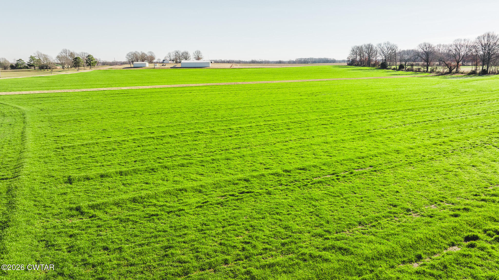 2-6 Warren Road Bells, TN 38006 - Photo 9 of 11 a view of a big yard with lawn chairs and large trees