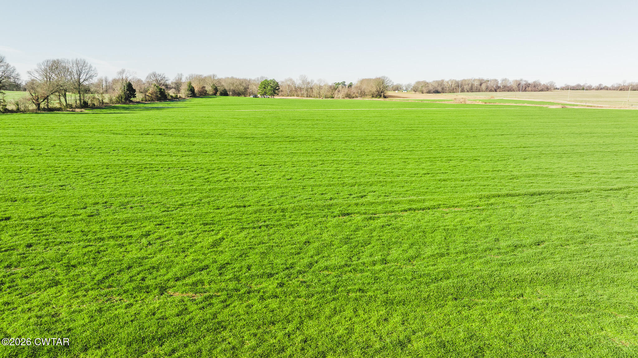 2-6 Warren Road Bells, TN 38006 - Photo 10 of 11 a view of an outdoor space and deck
