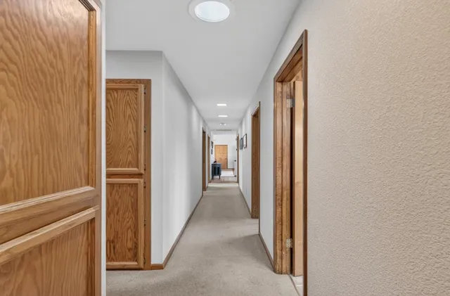 a close up of a plant in a garden