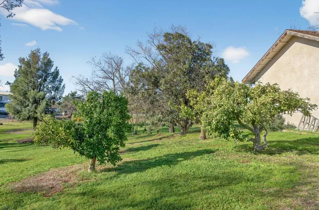 a view of a house with a yard and a large tree