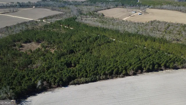 $51,000 | 3 Greyhound Road, Mershon, GA 31551