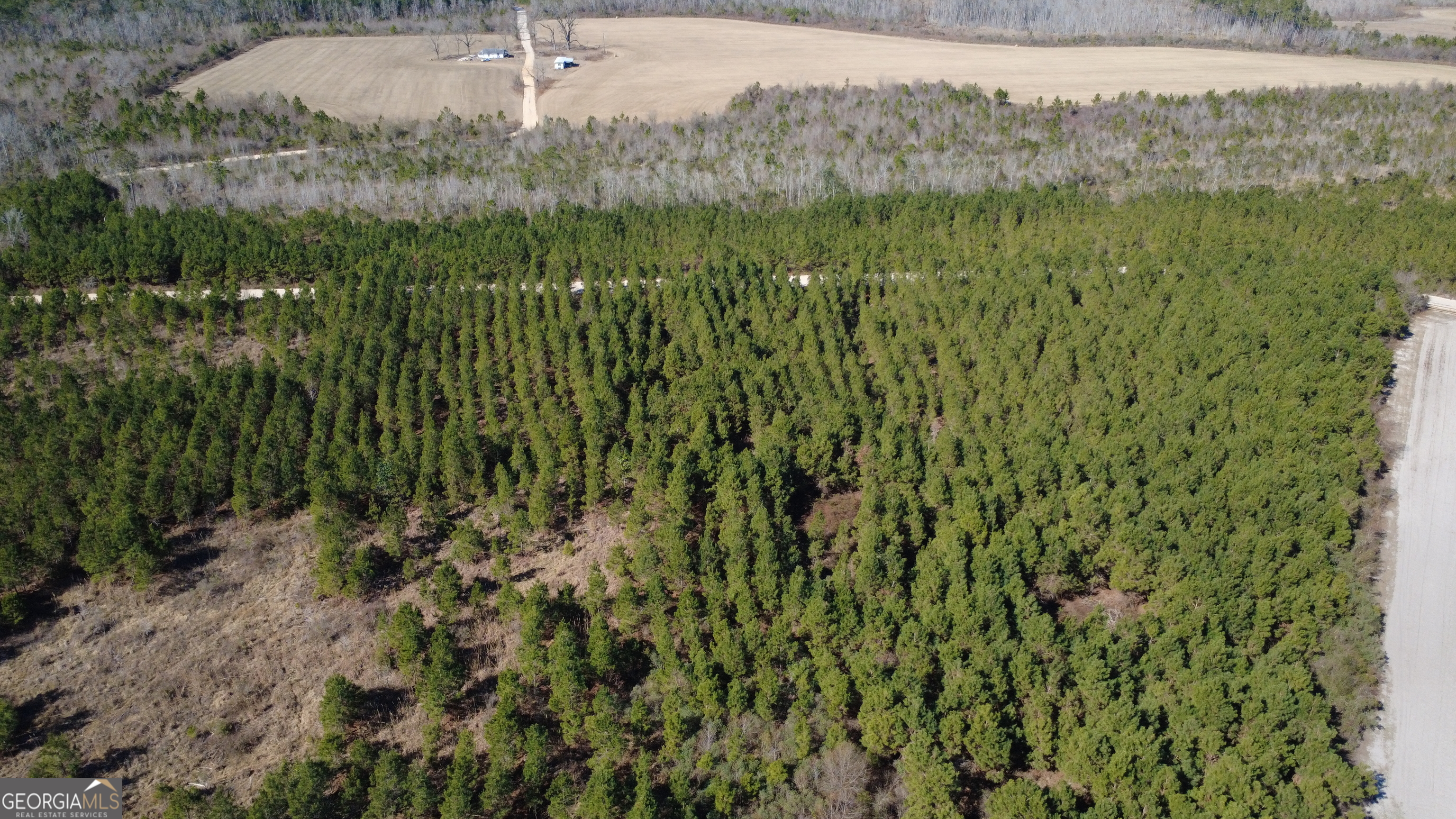 3 Greyhound Road Mershon, GA 31551 - Photo 2 of 6