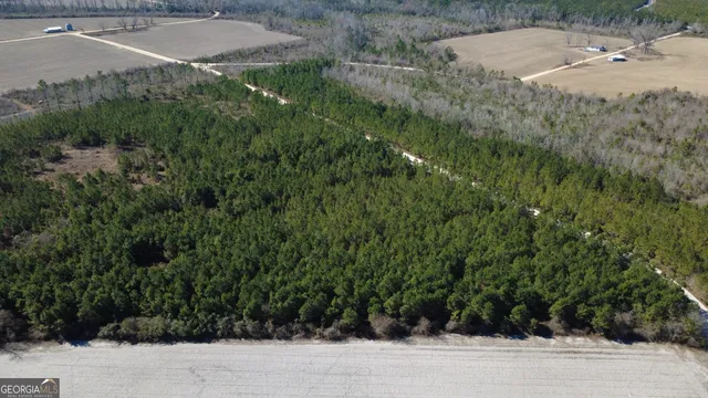 $51,000 | 3 Greyhound Road, Mershon, GA 31551