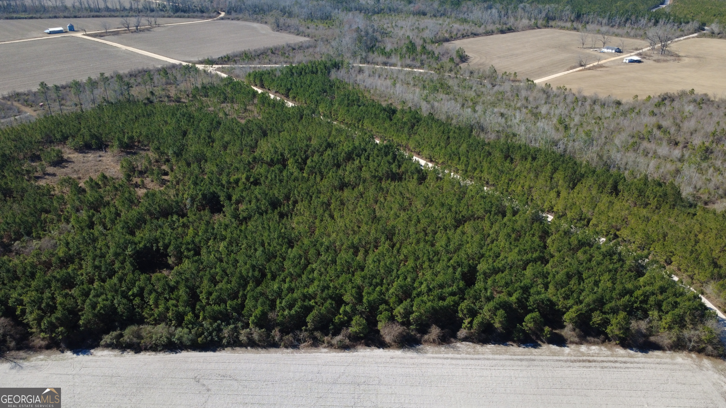 3 Greyhound Road Mershon, GA 31551 - Photo 3 of 6